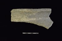 藏品(陶罐)的圖片